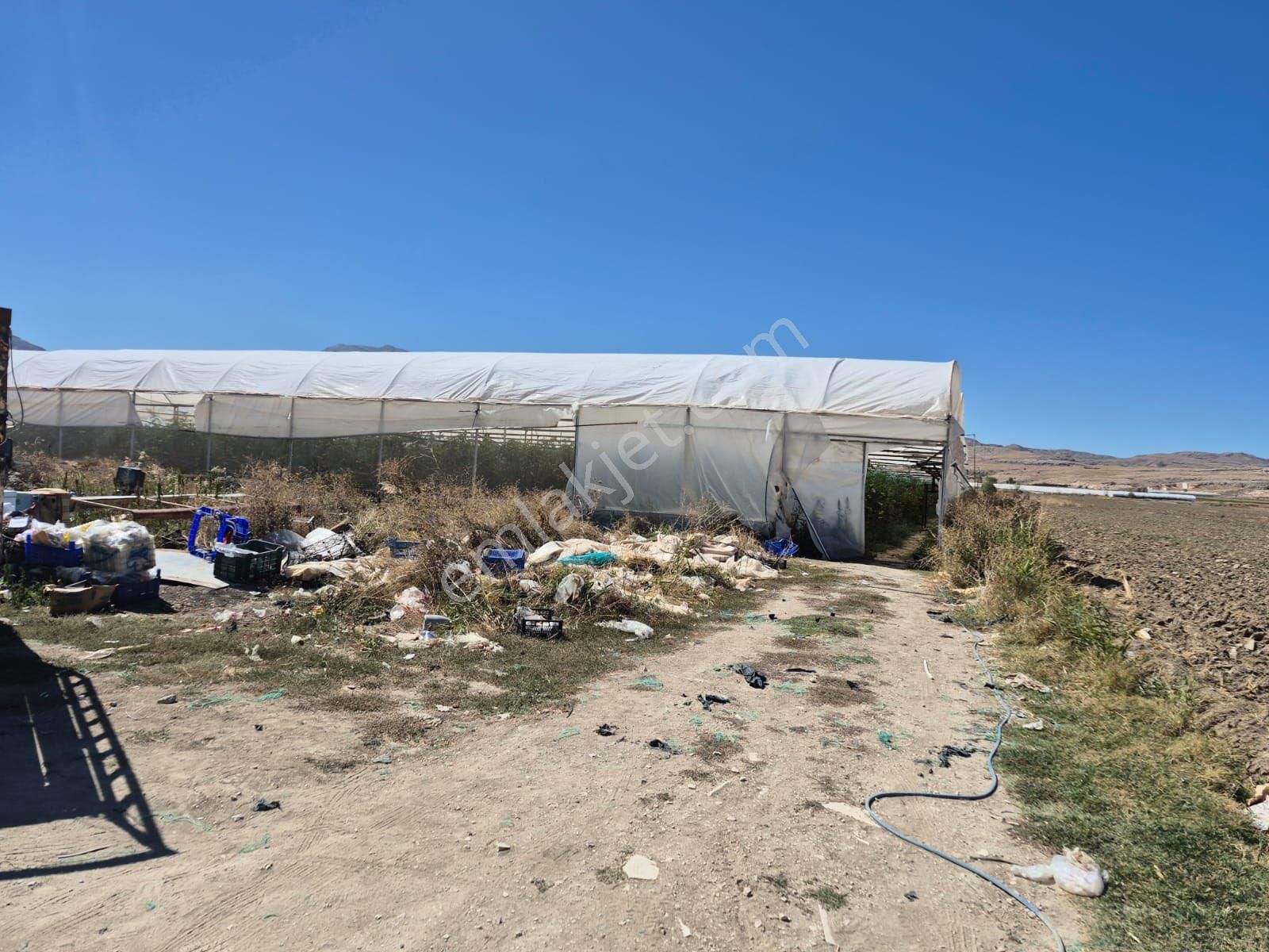 5.5 Dönüm Tarla 4 Dönümü Kapalı Sera - Görsel 2