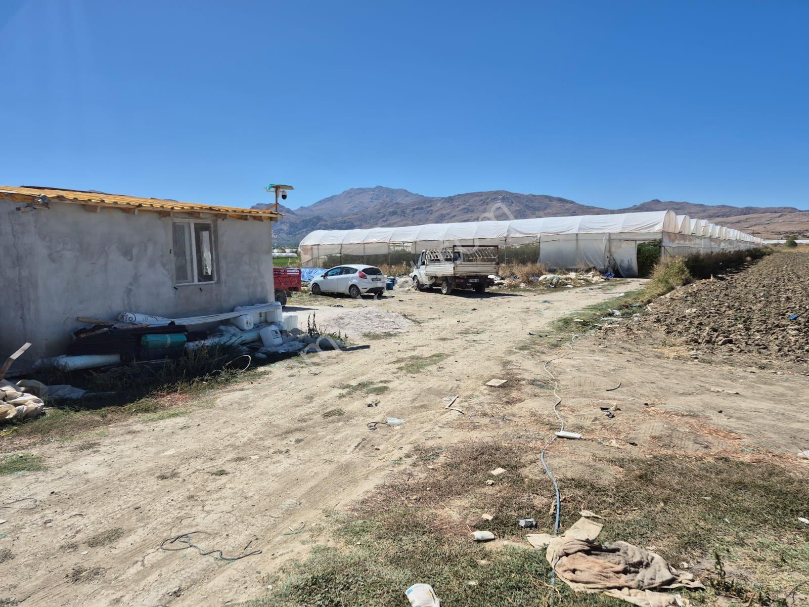 5.5 Dönüm Tarla 4 Dönümü Kapalı Sera - Görsel 9