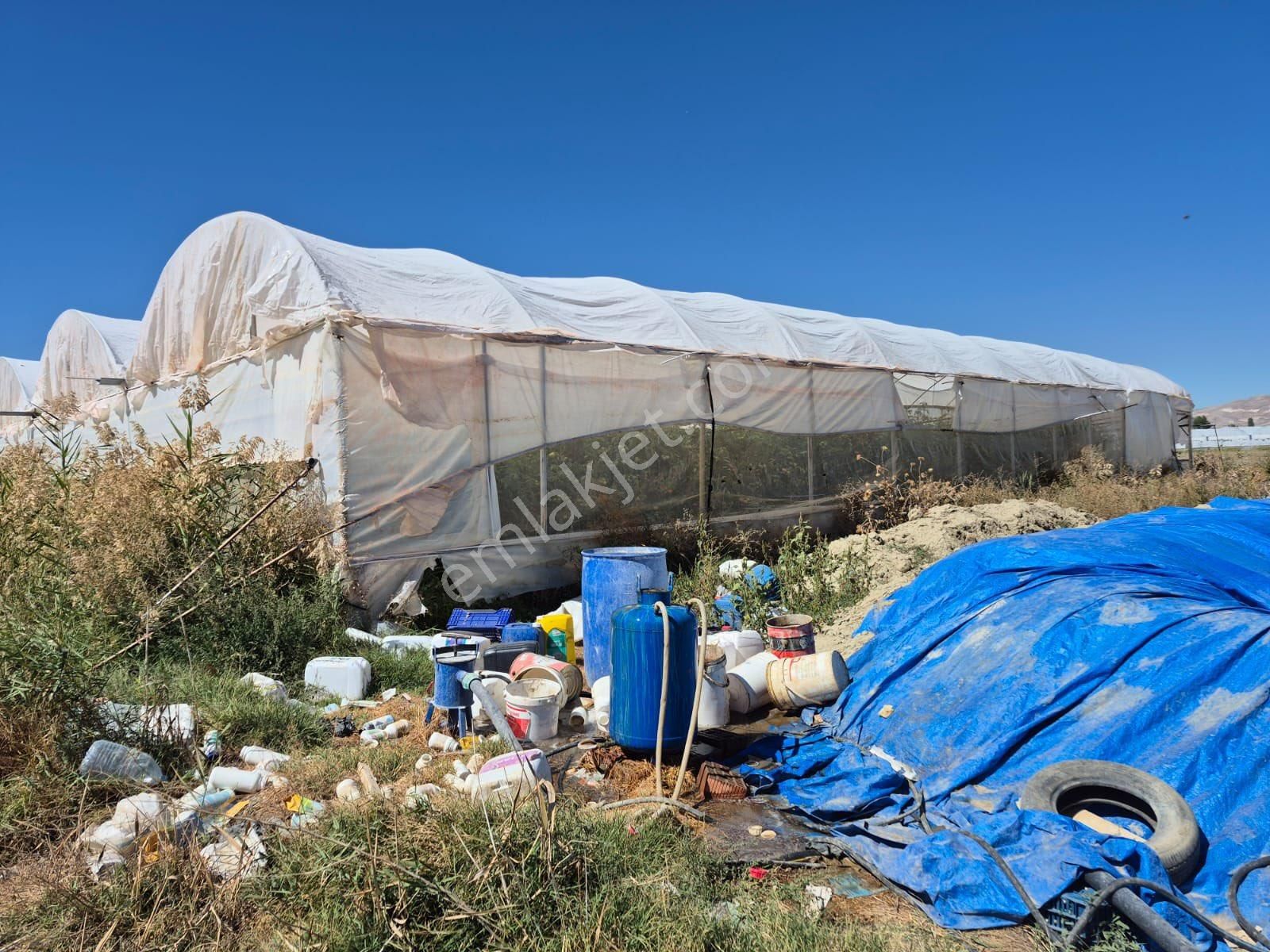 5.5 Dönüm Tarla 4 Dönümü Kapalı Sera - Görsel 4