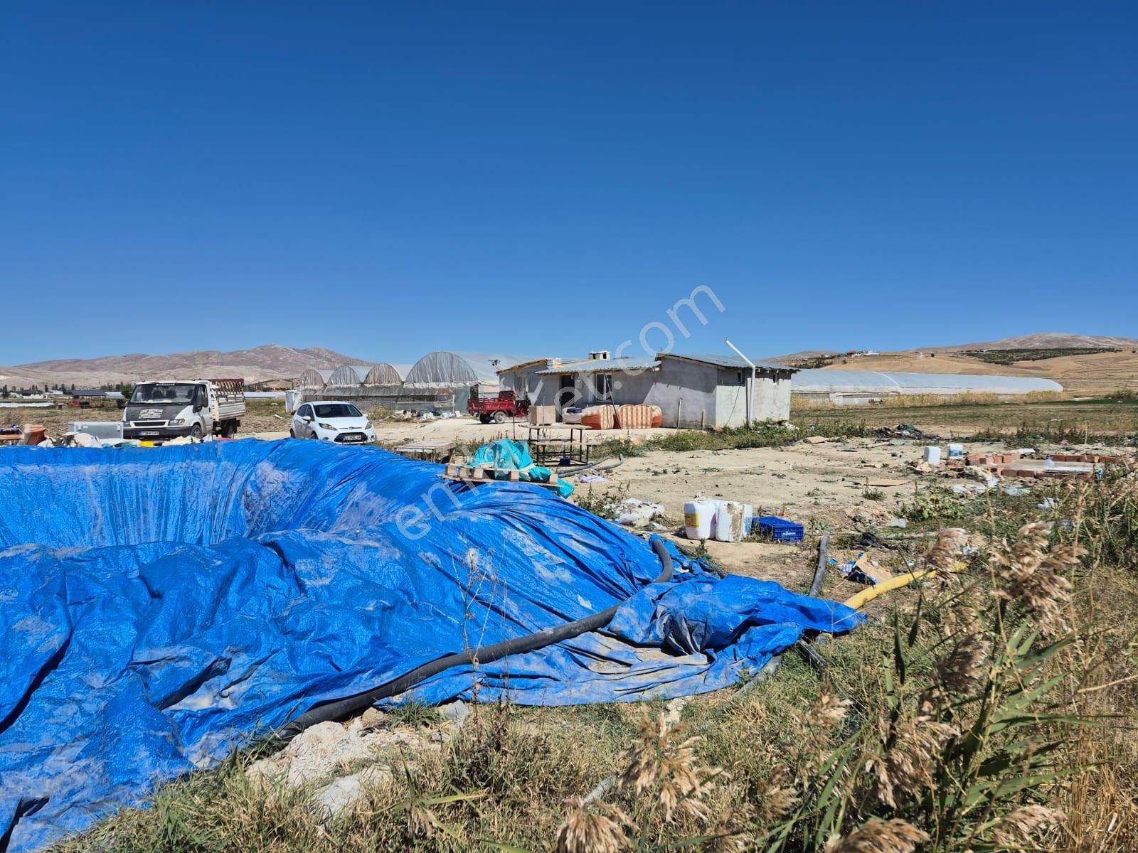 5.5 Dönüm Tarla 4 Dönümü Kapalı Sera - Görsel 5