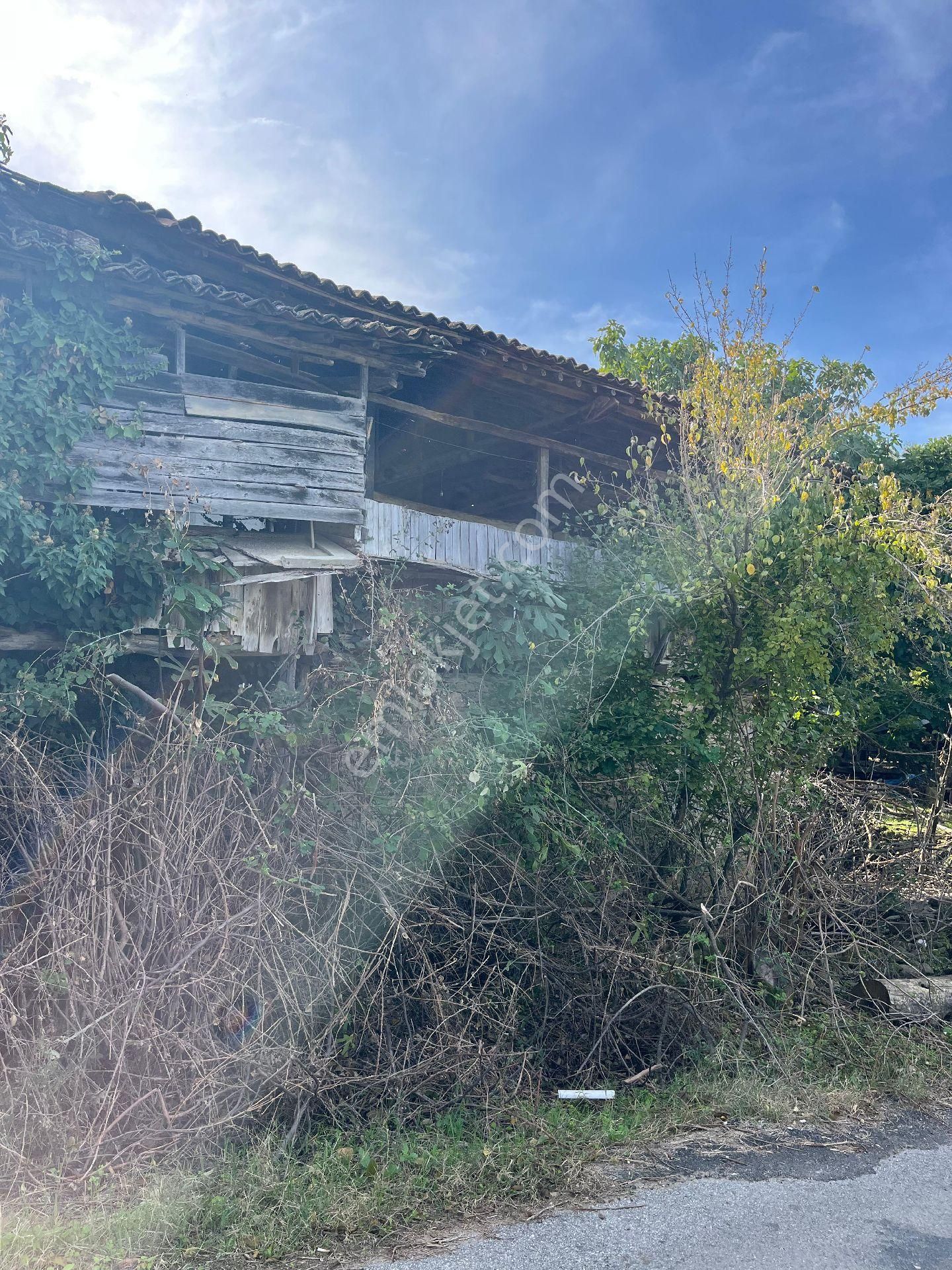 İzmir Beydağ Beyköy'de Manzaralı 150 M2 2+1 Taş Ev. Açıklamayı Okuyarak Arayınız. - Görsel 9