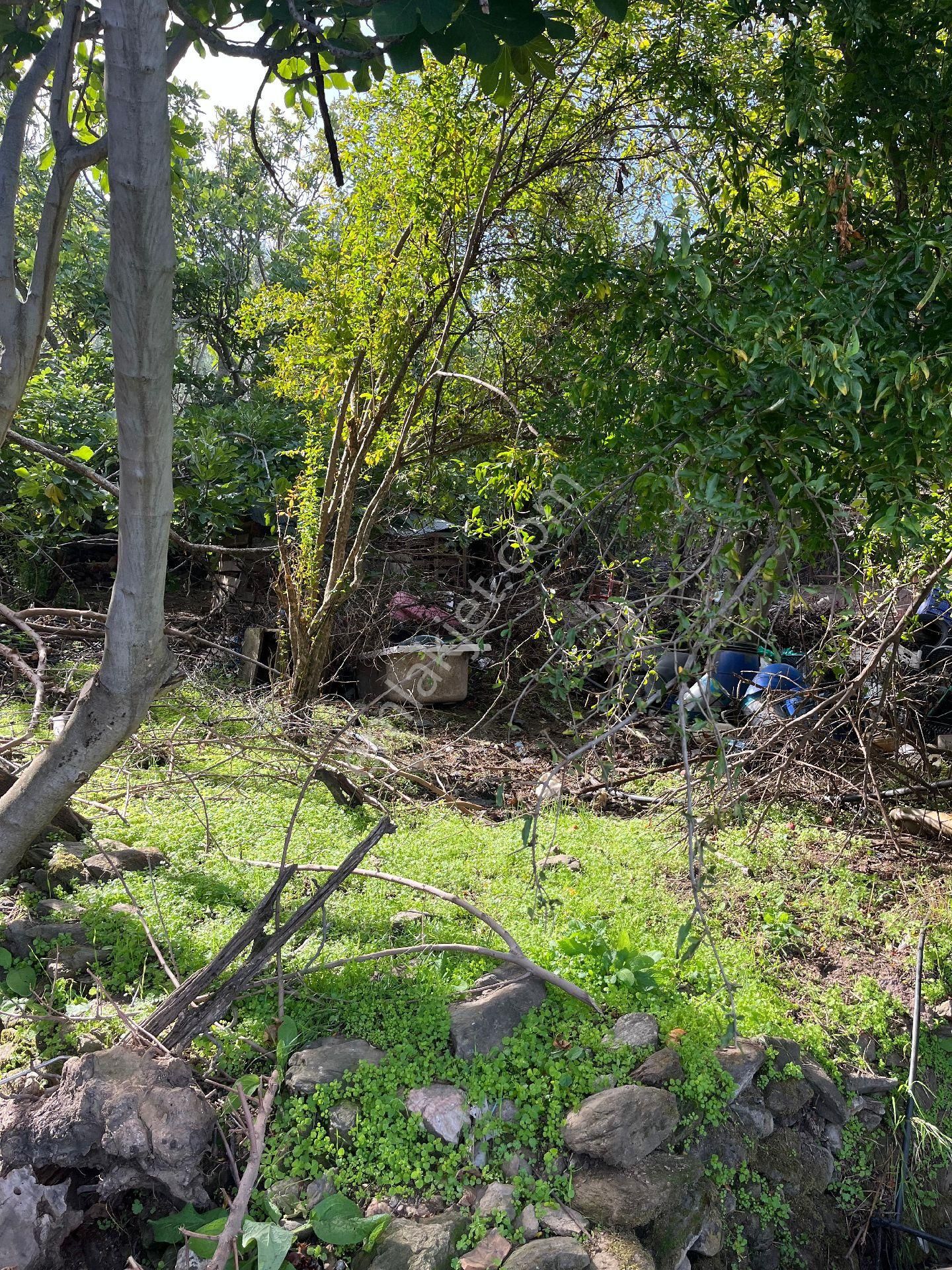 İzmir Beydağ Beyköy'de Manzaralı 150 M2 2+1 Taş Ev. Açıklamayı Okuyarak Arayınız. - Görsel 6