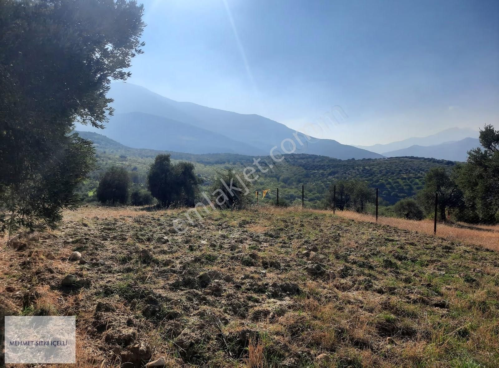 Güneş Gayrimenkul'den Akçaşehir'de İncir Ve Zeytin Bahçesi - Görsel 16
