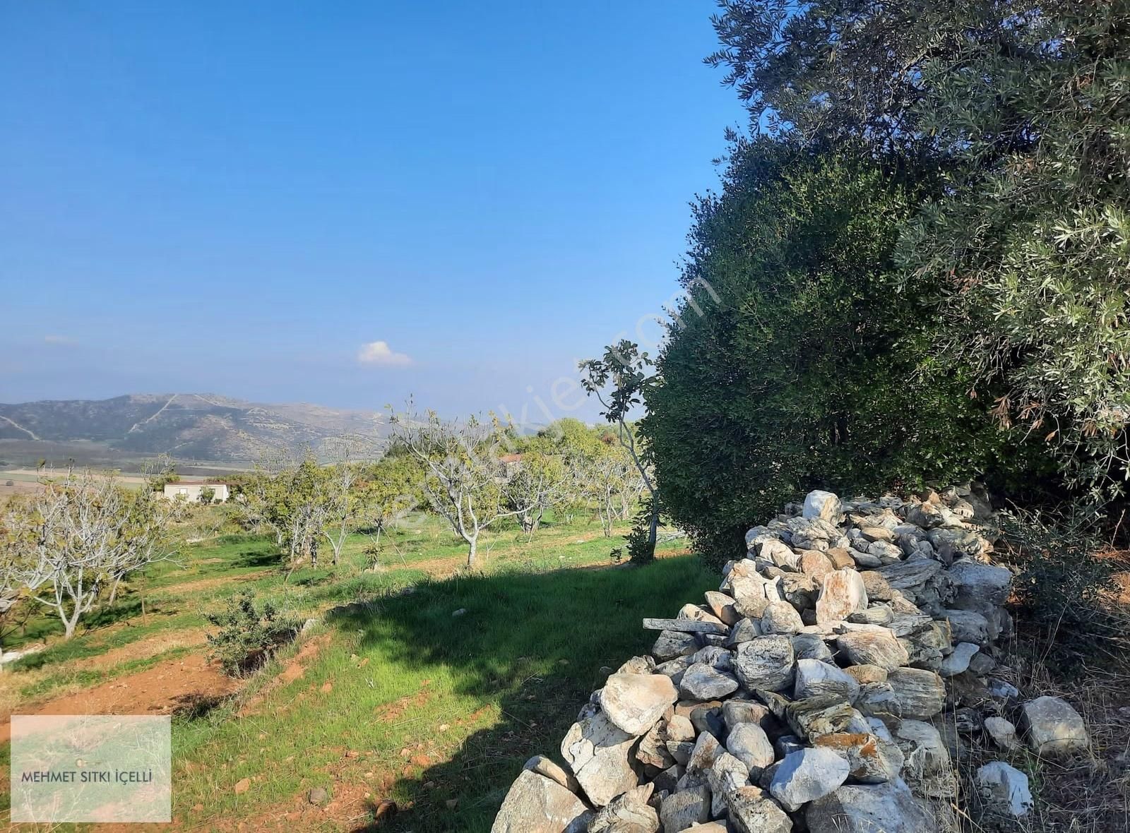 Güneş Gayrimenkul'den Akçaşehir'de İncir Ve Zeytin Bahçesi - Görsel 4