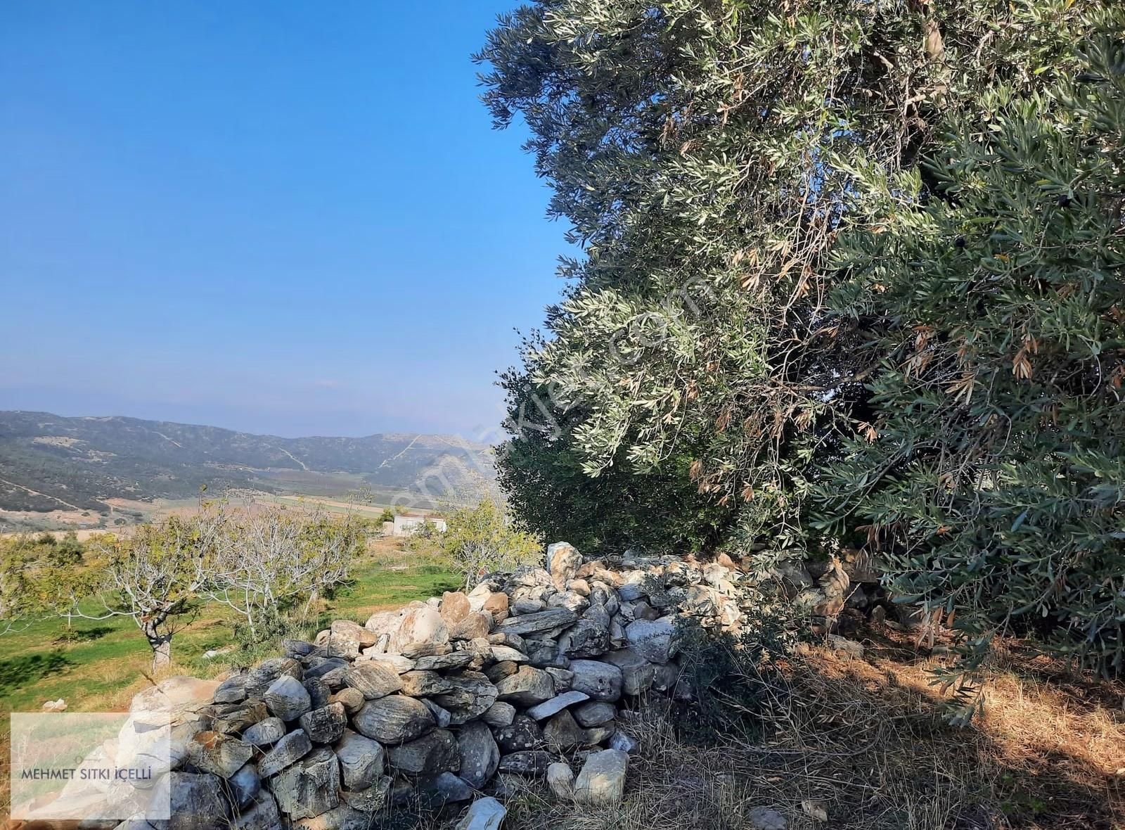 Güneş Gayrimenkul'den Akçaşehir'de İncir Ve Zeytin Bahçesi - Görsel 20