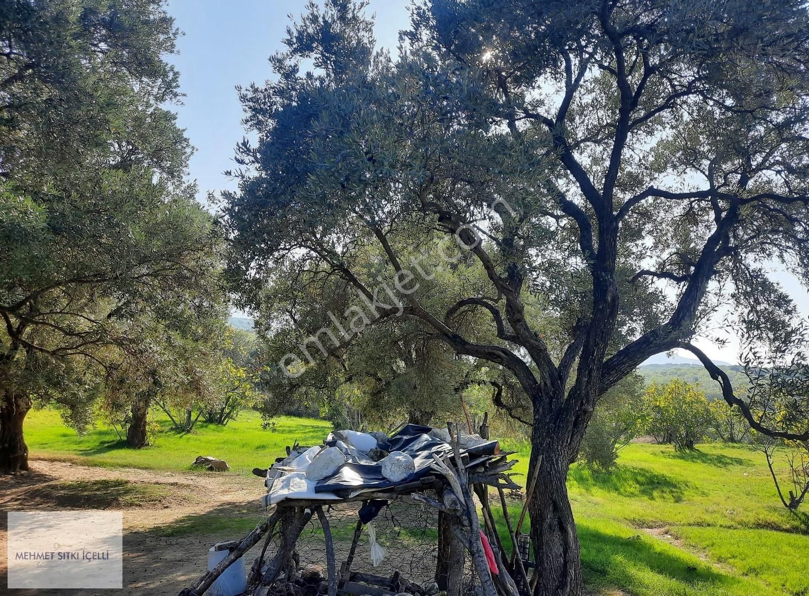 Güneş Gayrimenkul'den Akçaşehir'de İncir Ve Zeytin Bahçesi - Görsel 26