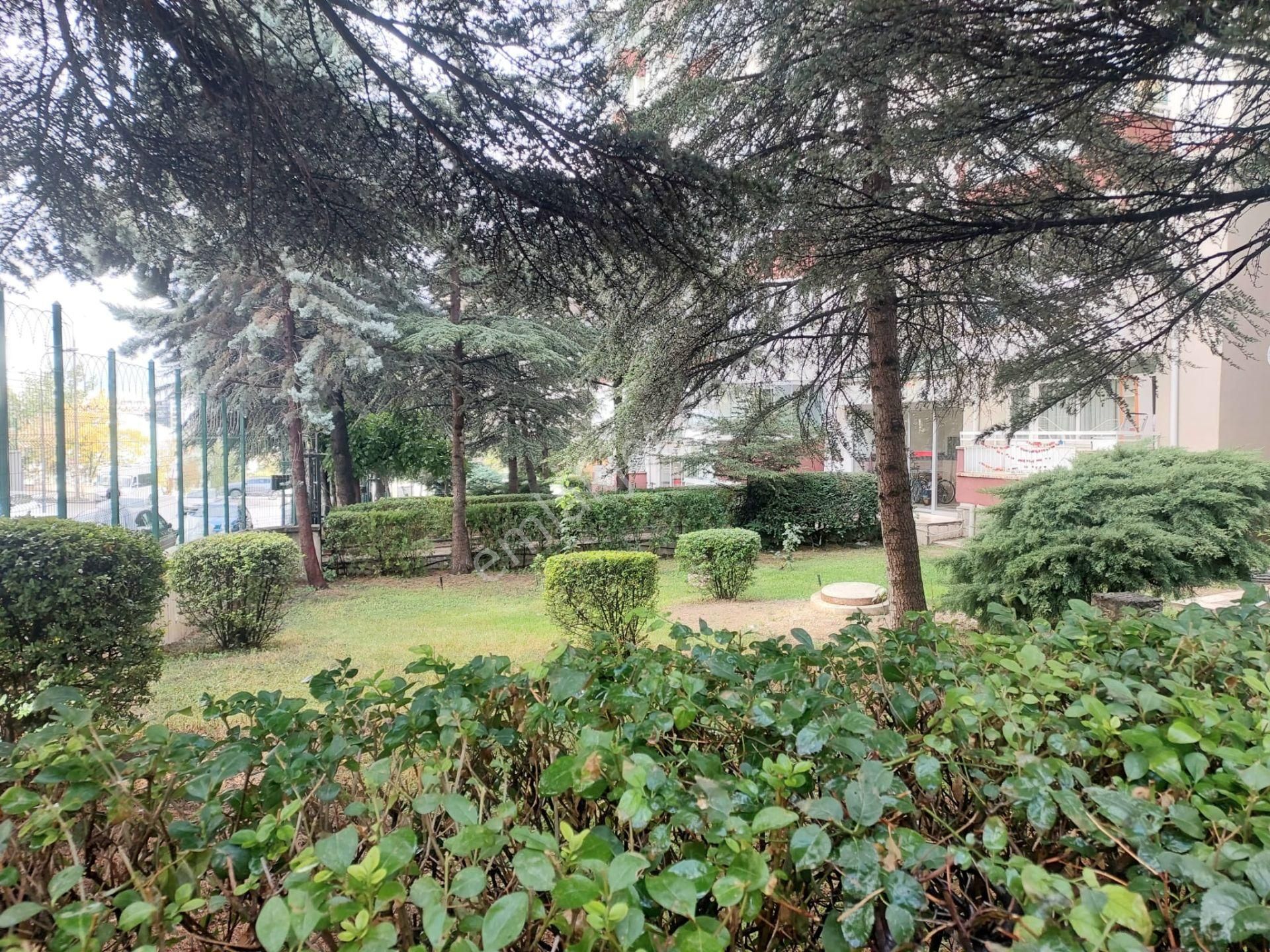 Taşınmaya Hazır, Yeni Tadilatlı, Asansörlü, Önü Açık, Daire!! - Görsel 34