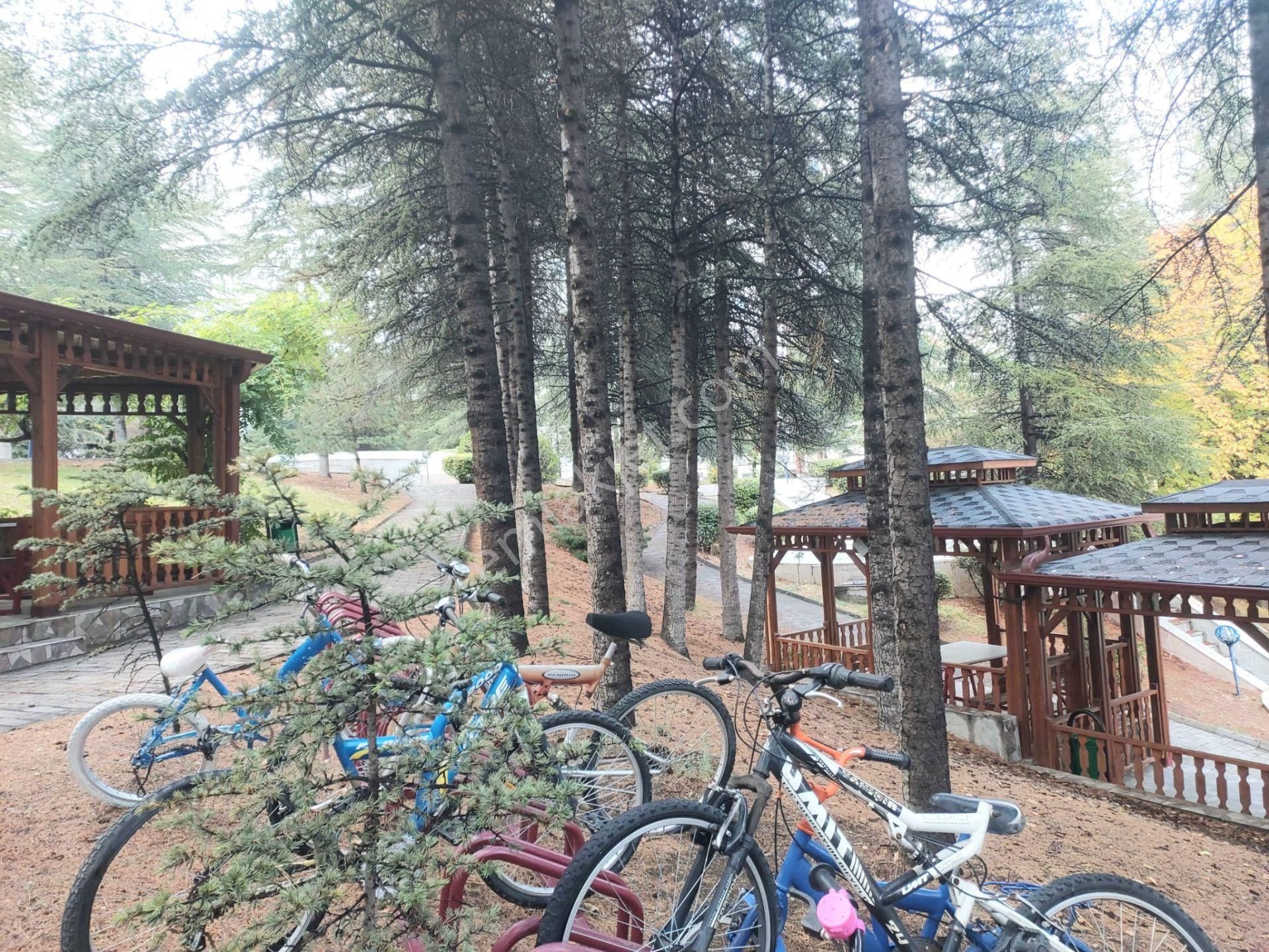 Taşınmaya Hazır, Yeni Tadilatlı, Asansörlü, Önü Açık, Daire!! - Görsel 31