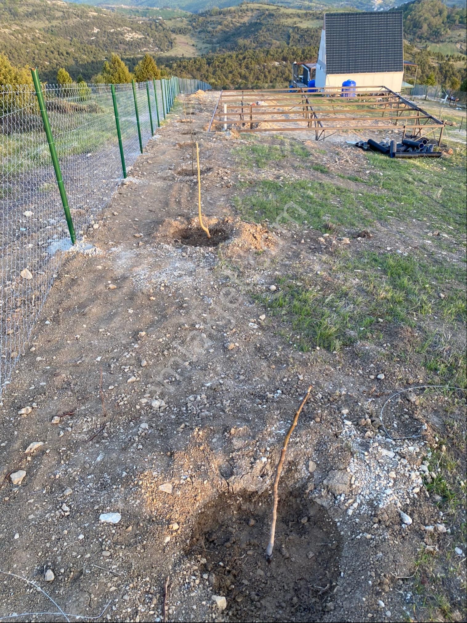 Müstakil Tapulu- Resmi Yollu 955 M2 Arsa - Görsel 33