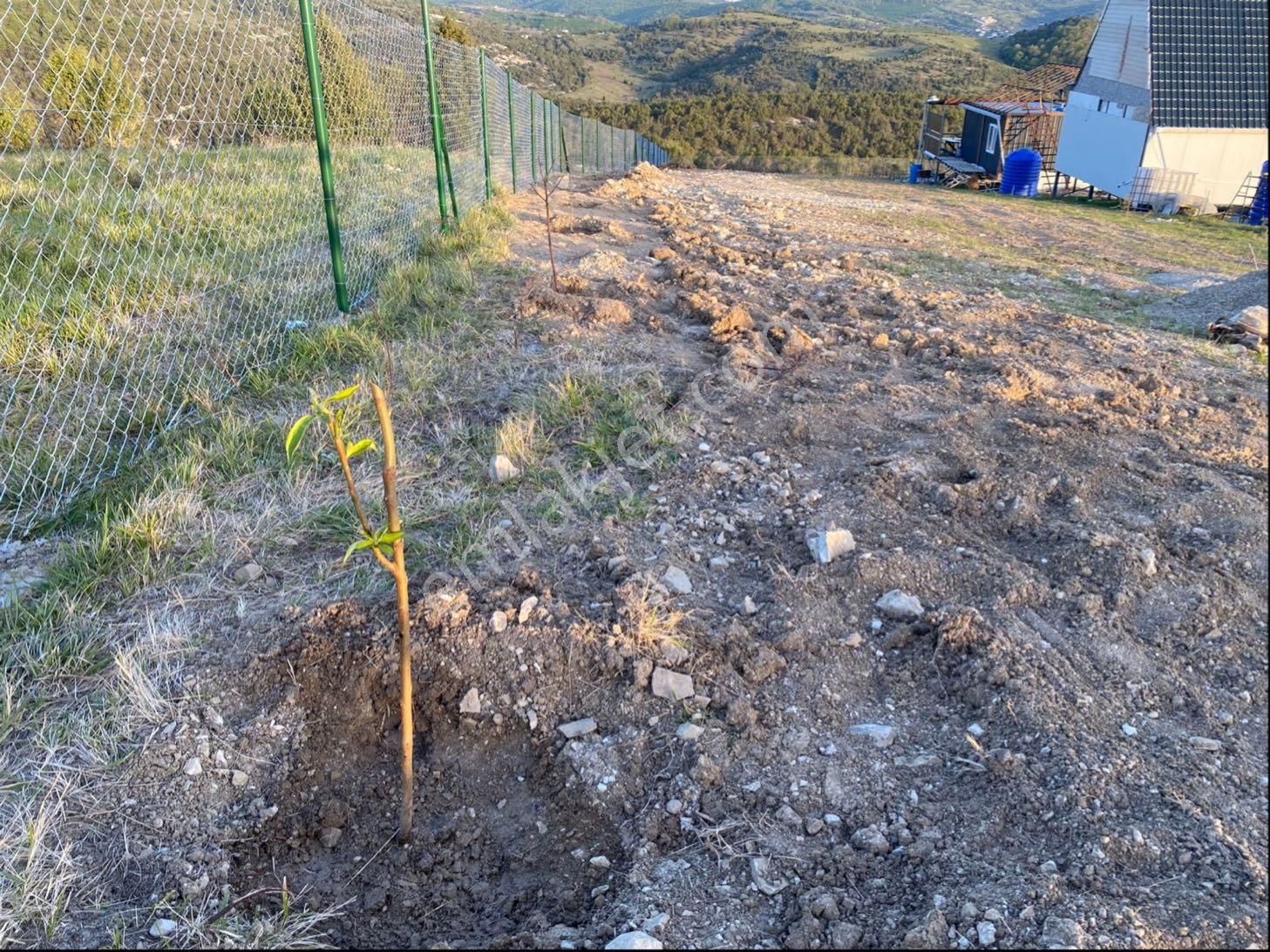 Müstakil Tapulu- Resmi Yollu 955 M2 Arsa - Görsel 16