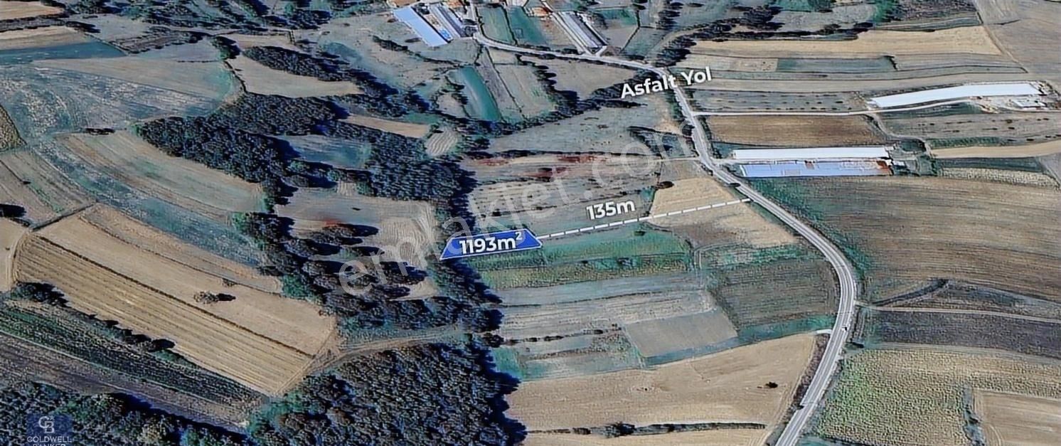 Cbakademi Kandıra Özbey Yola Yakın 1193 M2 Satılık Tarla - Görsel 3