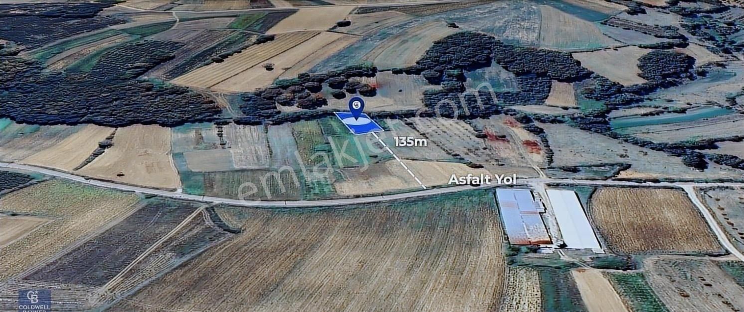 Cbakademi Kandıra Özbey Yola Yakın 1193 M2 Satılık Tarla - Görsel 5