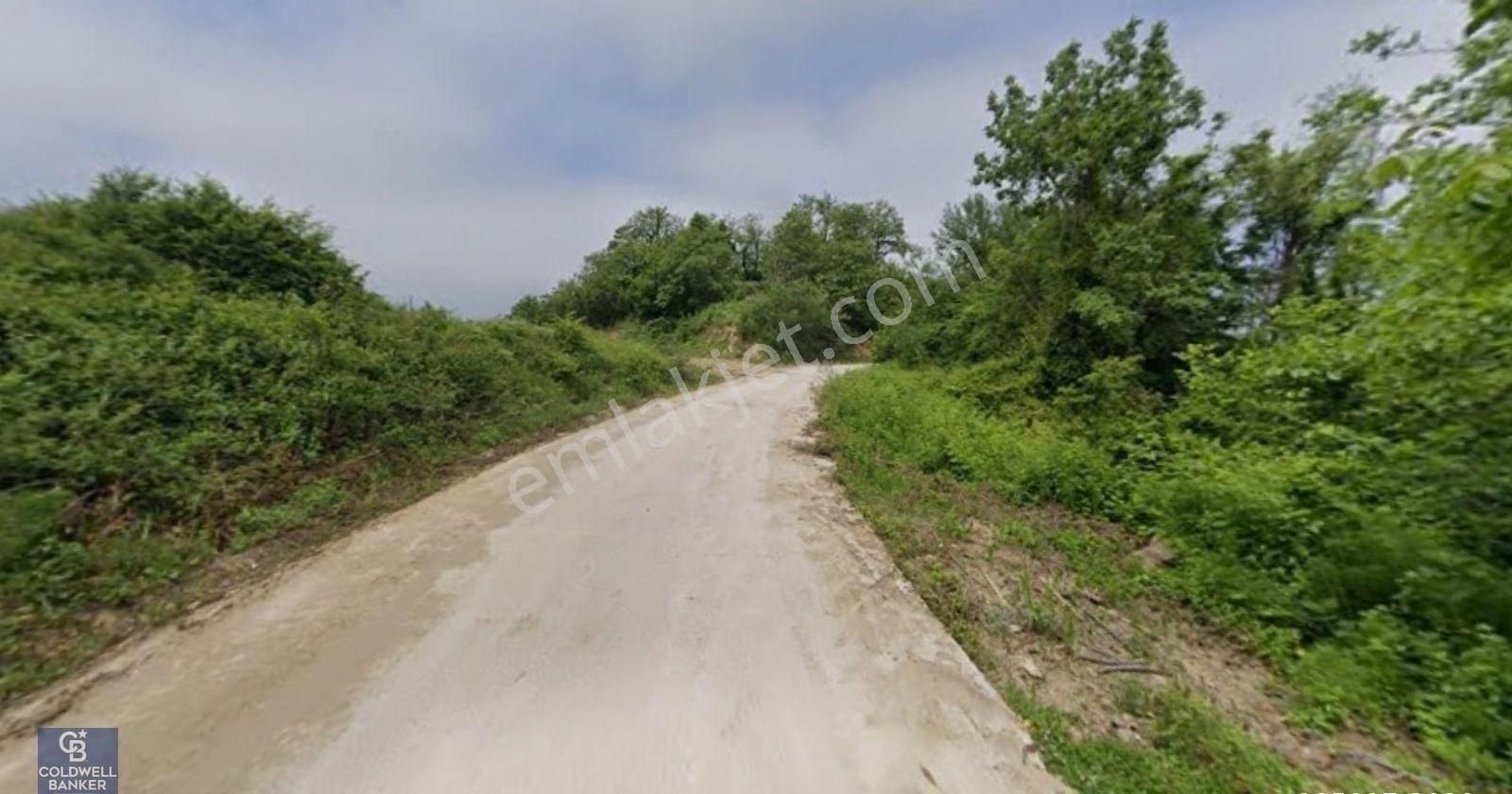 Çamçukurda Panoramik Deniz Manzaralı Satılık 3531 M2 Tarla - Görsel 5