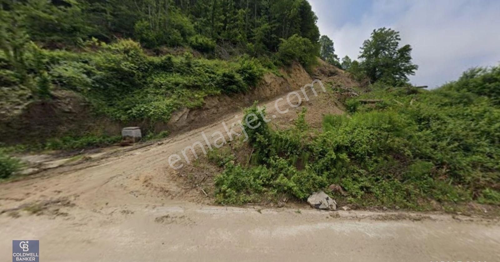 Çamçukurda Panoramik Deniz Manzaralı Satılık 3531 M2 Tarla - Görsel 3