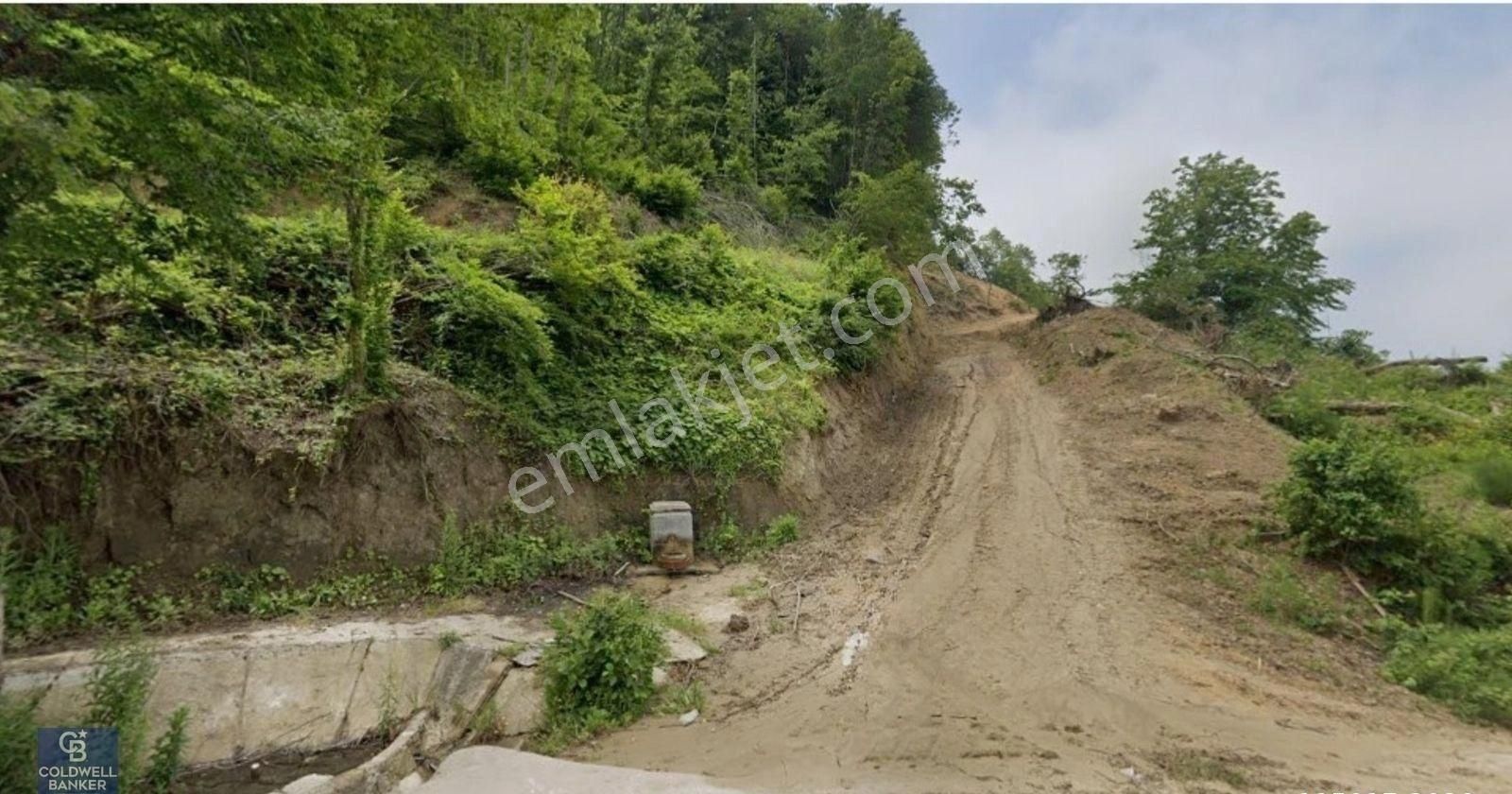 Çamçukurda Panoramik Deniz Manzaralı Satılık 3531 M2 Tarla - Görsel 2