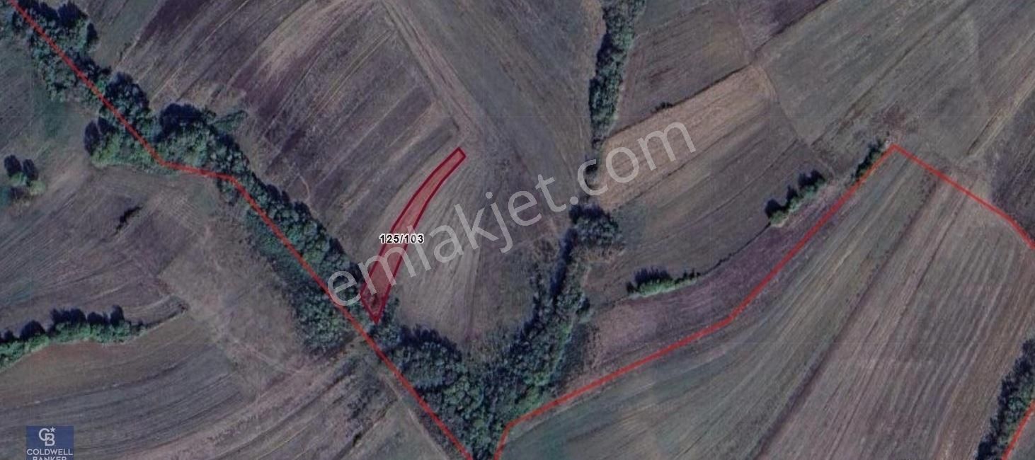 Kandıra Karadivan Da Kadastro Yola Cephe 841 M2 Satılık Arsa - Görsel 3