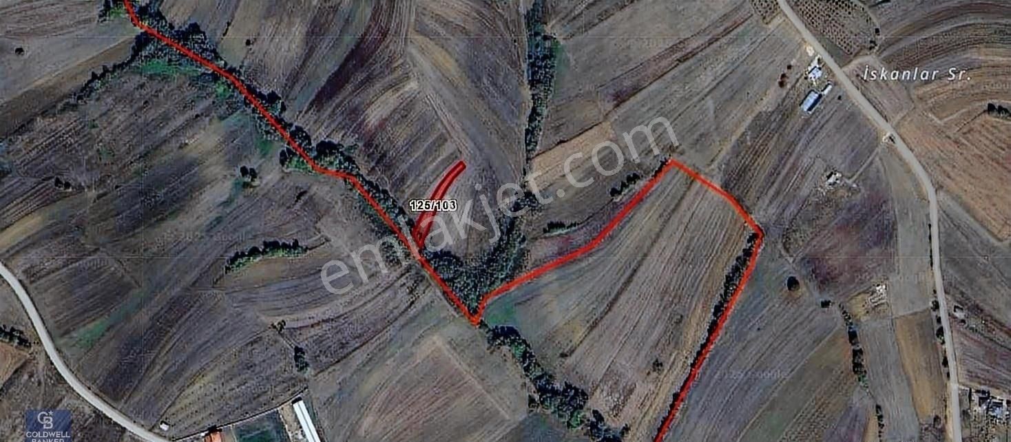 Kandıra Karadivan Da Kadastro Yola Cephe 841 M2 Satılık Arsa - Görsel 4