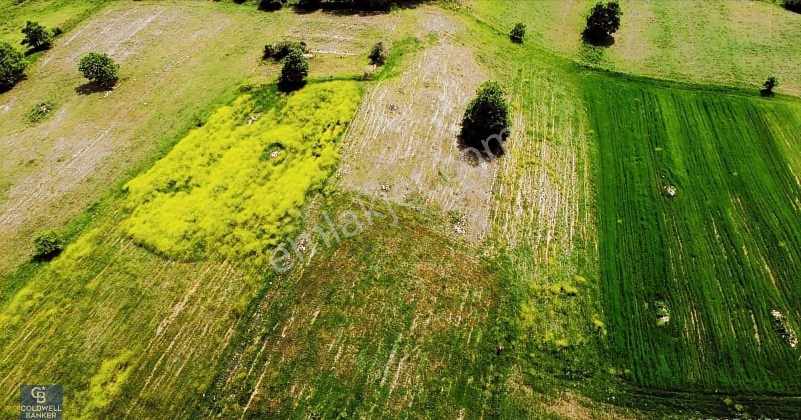 Kandıra Ağaçağıl'da Çiftlik Yapımına Uygun Giosb Ye Yakın Arazi. - Görsel 4