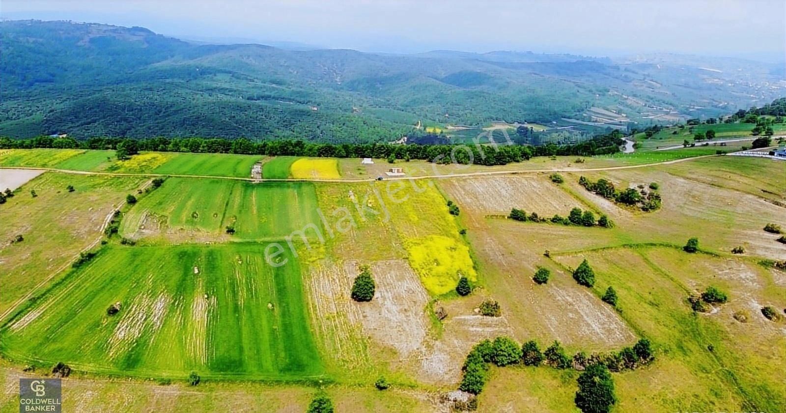 Kandıra Ağaçağıl'da Çiftlik Yapımına Uygun Giosb Ye Yakın Arazi. - Görsel 3