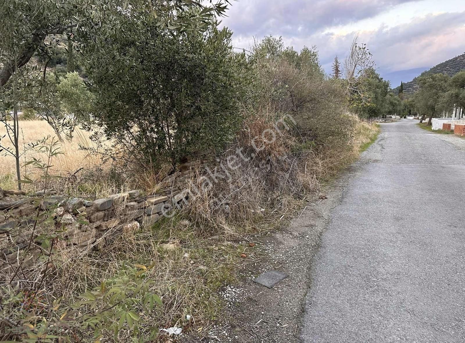 Doğa Dostu'ndan Bayındır Yakapınar Köy Merkezinde 2232 M2 Bahçe - Görsel 6