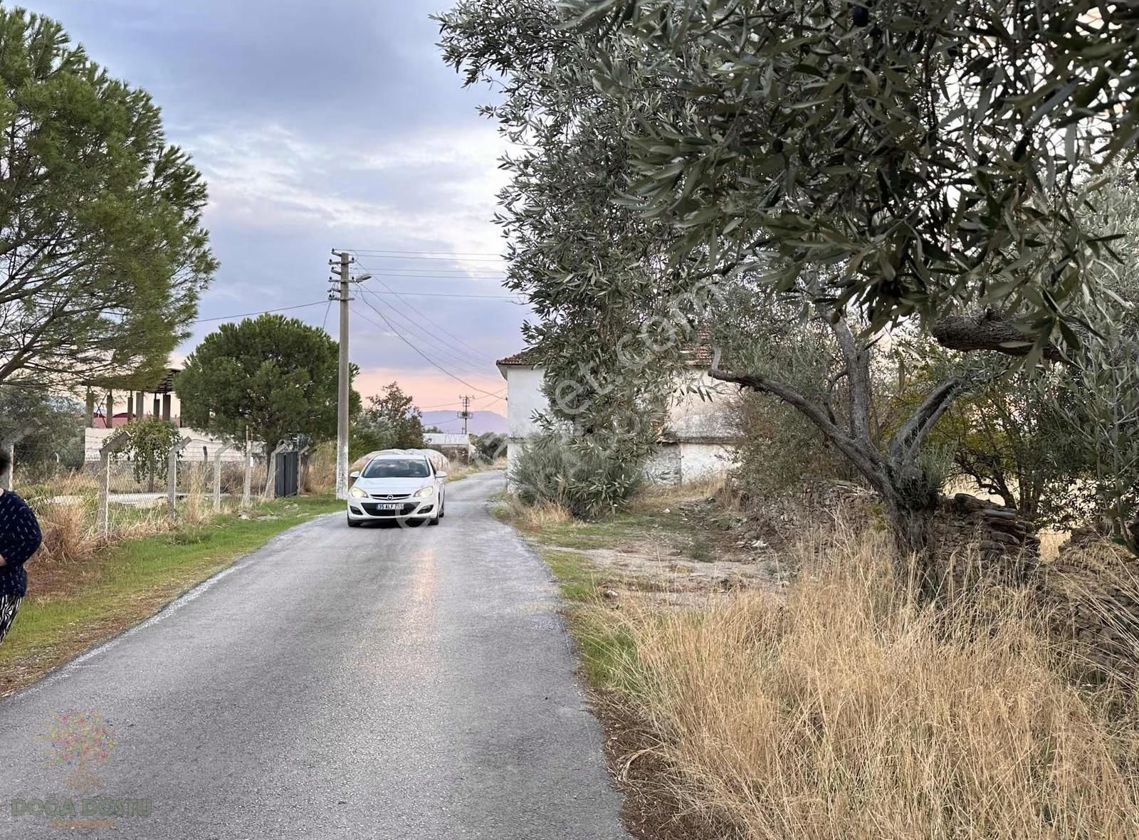 Doğa Dostu'ndan Bayındır Yakapınar Köy Merkezinde 2232 M2 Bahçe - Görsel 3