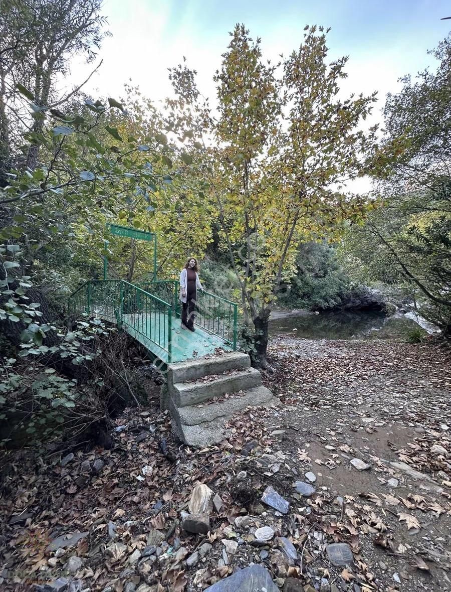 Doğa Dostu'ndan Bayındır,dere Balık Mevki 4183m2 Cennetten Köşe - Görsel 18