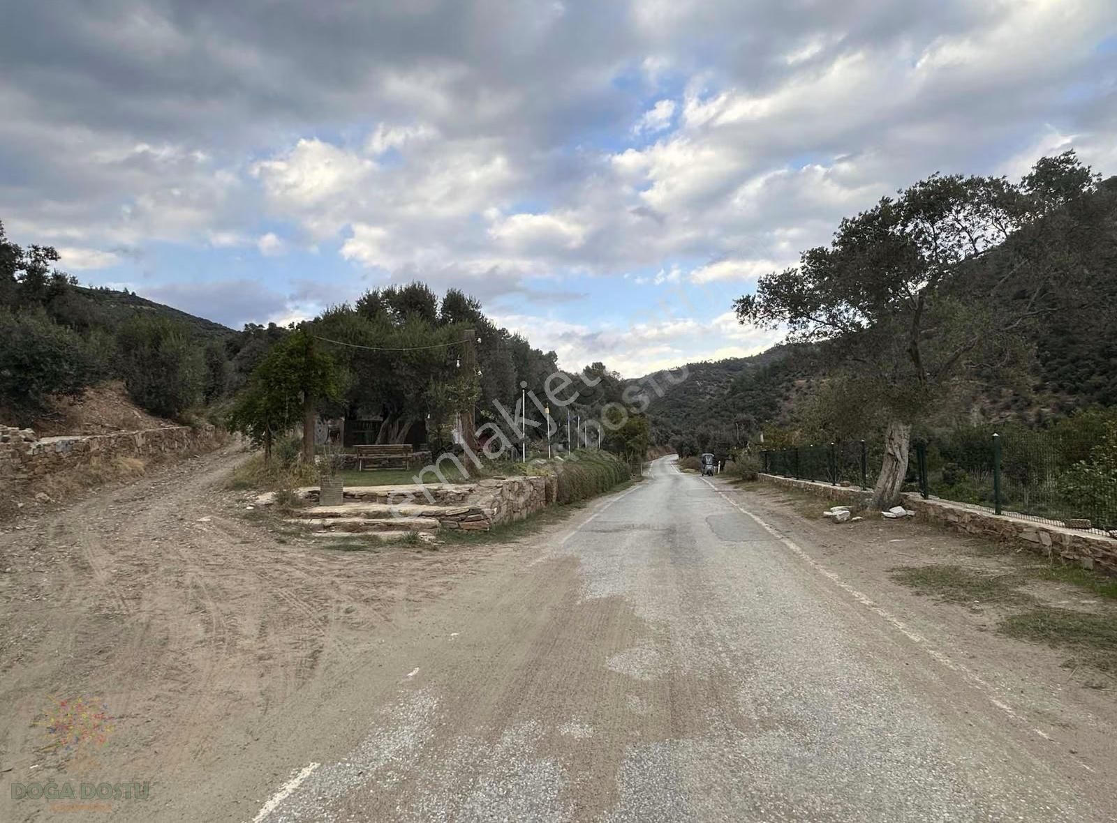 Doğa Dostu'ndan Bayındır,dere Balık Mevki 4183m2 Cennetten Köşe - Görsel 26