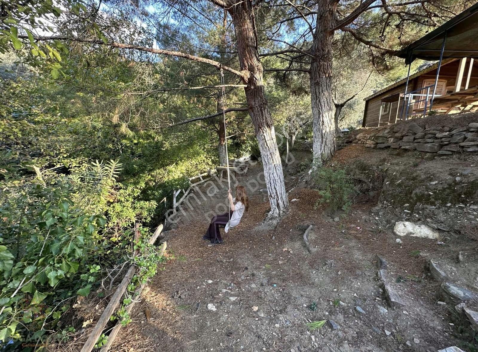 Doğa Dostu'ndan Bayındır,dere Balık Mevki 4183m2 Cennetten Köşe - Görsel 22