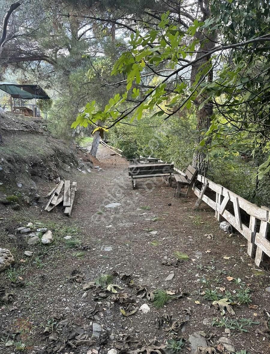 Doğa Dostu'ndan Bayındır,dere Balık Mevki 4183m2 Cennetten Köşe - Görsel 6