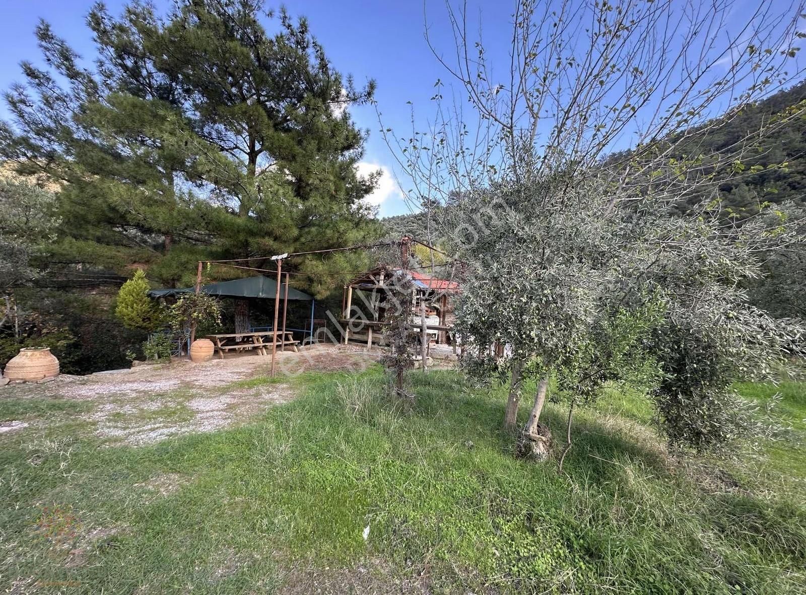 Doğa Dostu'ndan Bayındır,dere Balık Mevki 4183m2 Cennetten Köşe - Görsel 31