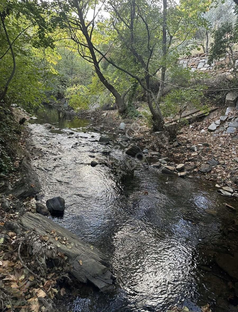 Doğa Dostu'ndan Bayındır,dere Balık Mevki 4183m2 Cennetten Köşe - Görsel 12