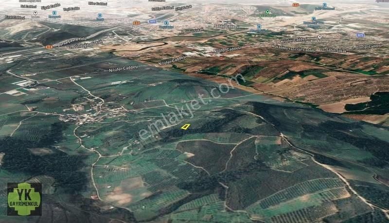 Bursa Osmangazi Aksungur 789 M² Zeytinlik - Görsel 2