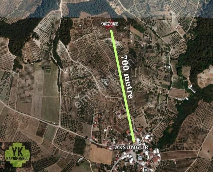 Bursa Osmangazi Aksungur 789 M² Zeytinlik - Görsel 4