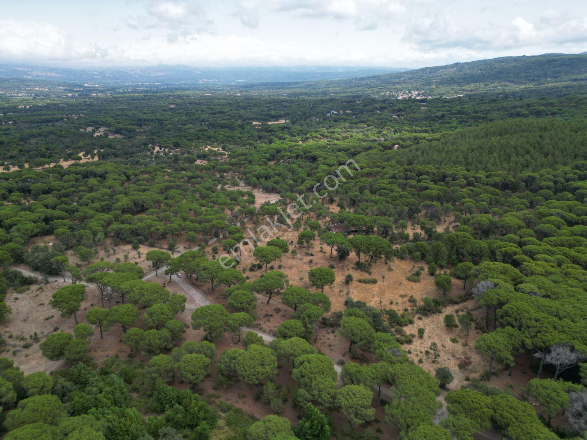Kozak Yaylası'nda 240m Kadastral Yola Cepheli Tarla - Görsel 7