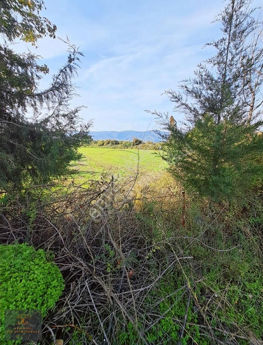 Köyceğiz Döğüşbelen Mh. De Satılık 6980m2 Tarla - Görsel 6