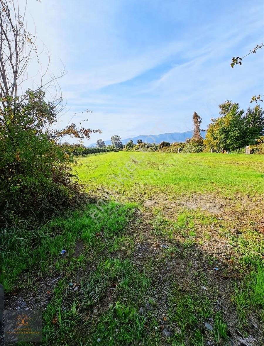 Köyceğiz Döğüşbelen Mh. De Satılık 6980m2 Tarla - Görsel 7