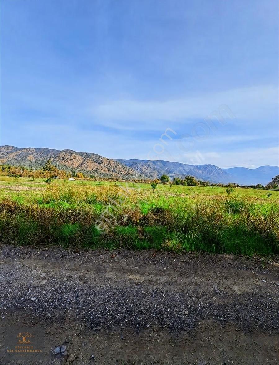 Köyceğiz Döğüşbelen Mh. De Satılık 6980m2 Tarla - Görsel 2