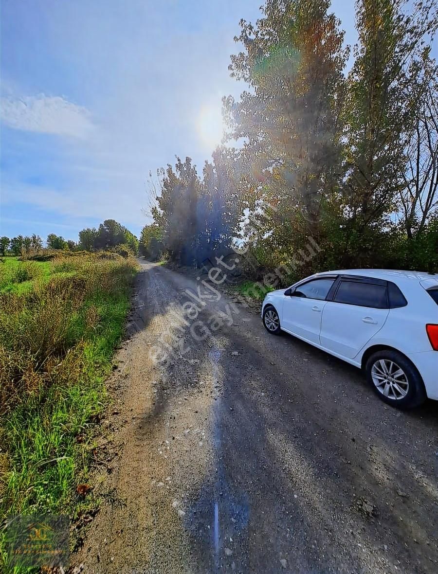 Köyceğiz Döğüşbelen Mh. De Satılık 6980m2 Tarla - Görsel 3