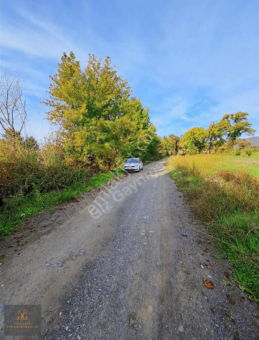Köyceğiz Döğüşbelen Mh. De Satılık 6980m2 Tarla - Görsel 4