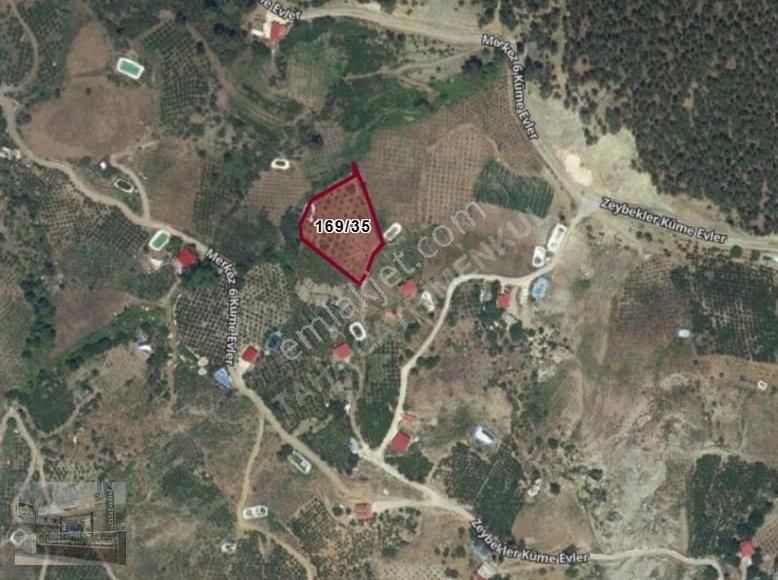 İçerisinde Pınar Bulunan Emsalsiz Ceviz Bahçesi - Görsel 3