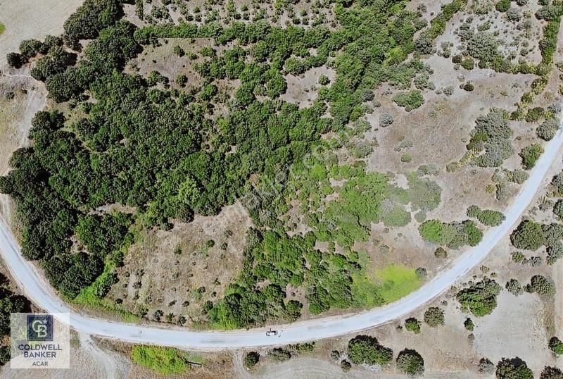 Coldwell Banker'den Çanakkale Biga'da Müstakil Tek Tapu Arsa - Görsel 3