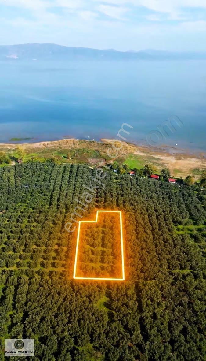 Kaleden Sölözde 2.200m² Göle 80mt Bakımlı Zeytinlik - Görsel 12