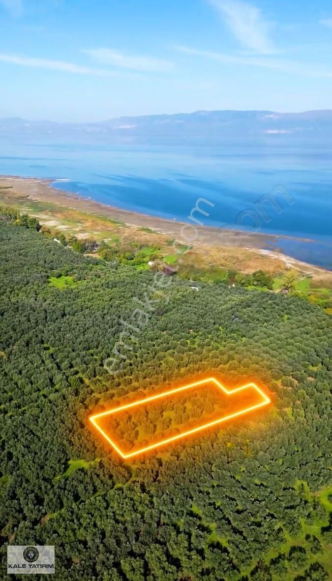 Kaleden Sölözde 2.200m² Göle 80mt Bakımlı Zeytinlik - Görsel 4