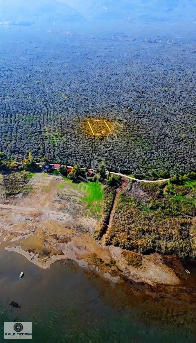 Kaleden Sölözde 2.200m² Göle 80mt Bakımlı Zeytinlik - Görsel 11
