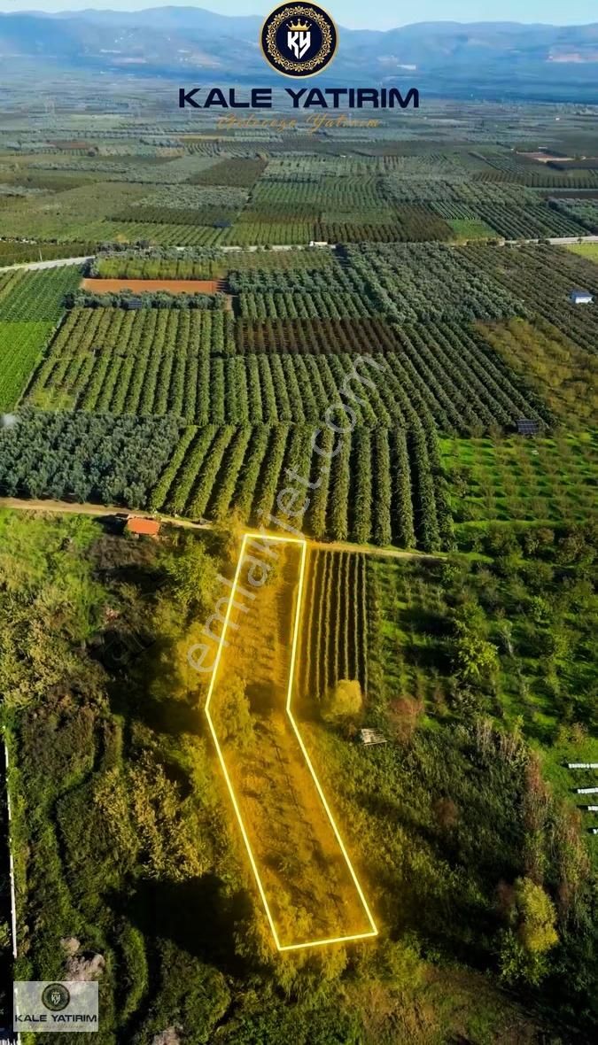 Kaleden Çakırca'da 1.365m² Göle 500mt Meyve Bahçesi Elektrik Su - Görsel 2