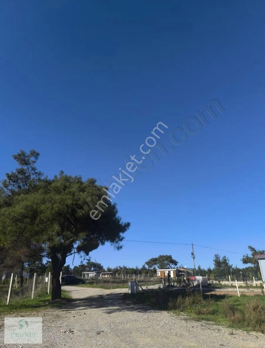 Menderes Çatalca'da Yerleşim Olan Elektrikli Parseller - Görsel 7