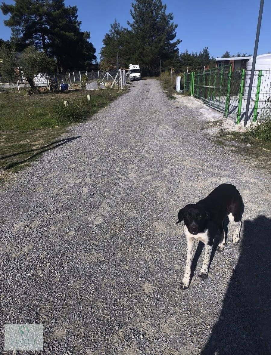 Menderes Çatalca'da Yerleşim Olan Elektrikli Parseller - Görsel 9