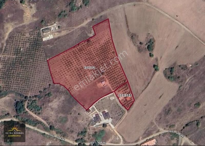 Sakarya-geyve-akkaya Mah. Satılık Fındık Bahçesi Ve Kagir Ev