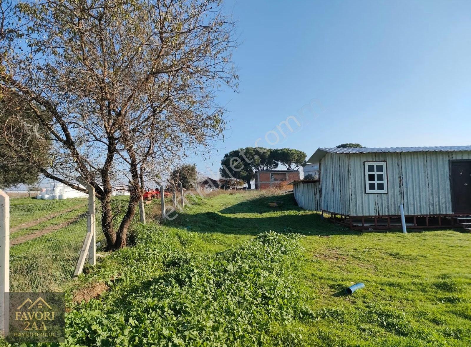Fevzipaşa Mah.çevre Yolunun Dibinde Kiralık Tarla - Görsel 4