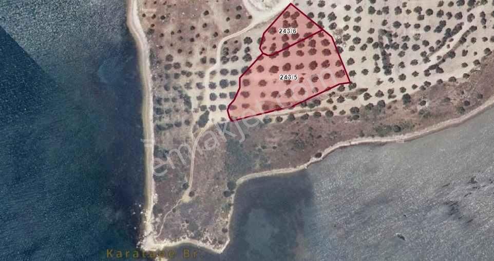 Gömeç Kemalpaşa'da Satılık, Denize Sıfır, Otel Ve Günübirlik Arsa - Görsel 3